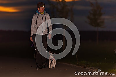 Woman goes with a dog walking in the autumn at night with heard torch - jack russell terrier Stock Photo