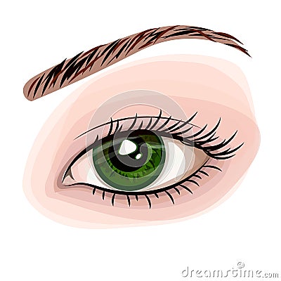 Woman green beautiful eye Vector Illustration