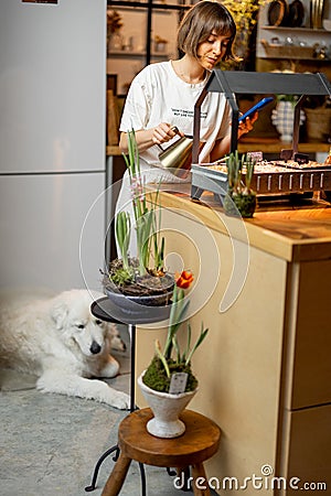 Woman growing sprouts on kithcen at home Stock Photo