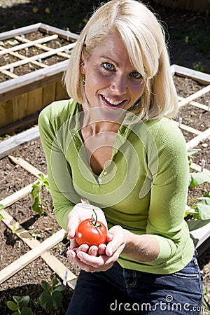 Woman growing tomato plants in backyard planter Stock Photo