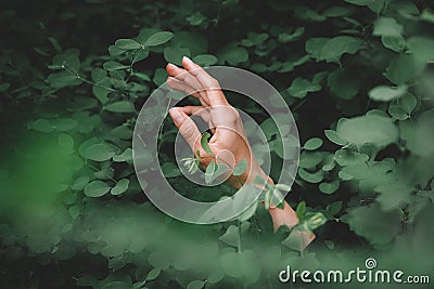 Woman hand against green leaf background. Back to nature, love earth, copy space Stock Photo