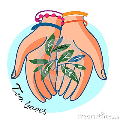 Woman hand hold tea leaves on blue round backdrop Vector Illustration