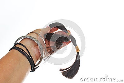 Woman hand holding blach human hair tail on isolated white background. Studio photo with studio lighting easy to use for Stock Photo