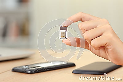 Woman hand holding sim card different sizes Stock Photo