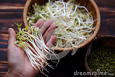 Woman hand with homemade bean sprouts, germinate of green beans Stock Photo