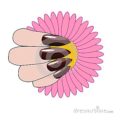 Woman hand with nice manicure and flower. Stock Photo