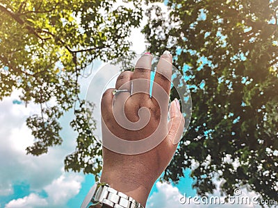 Woman hand pointing towards beautif sky and trees Stock Photo