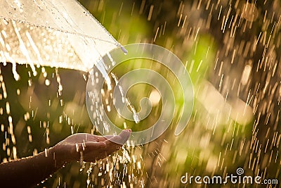 Woman hand with umbrella in the rain Stock Photo