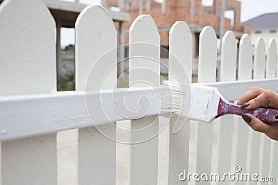 Woman hand worker painting white fence Stock Photo
