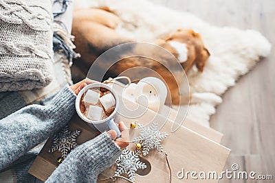 Woman hands with cup of hot chocolate close up image; cozy home; sleeping dog; christmas time Stock Photo