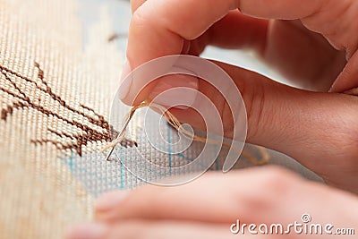 Woman hands doing cross-stitch. Stock Photo