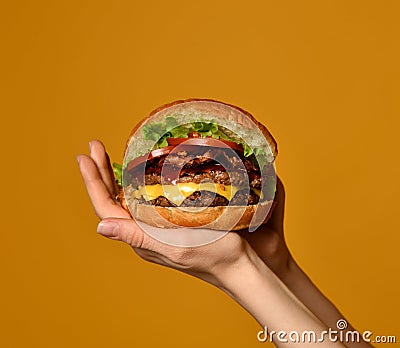 Woman hands hold big double cheeseburger burger sandwich with beef and bacon on yellow Stock Photo