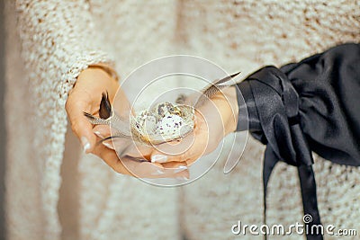 Woman hands holding birdnest in her hands, light pastel colors Stock Photo