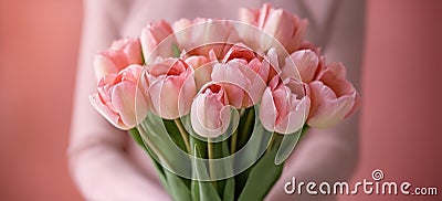 Woman hands holding a bouquet of tulips on a light pink background Stock Photo