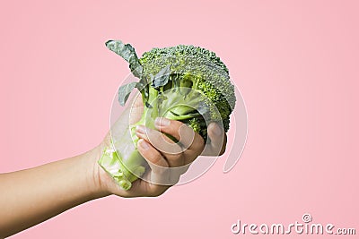 Woman hands holding Broccoli vegetables for health. Image clipping path Stock Photo
