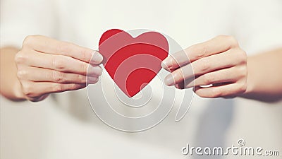 Woman hands holding Heart shape Love symbol Stock Photo