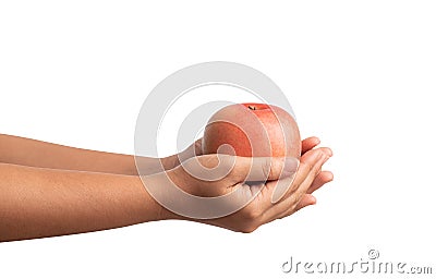 Woman hands holding a red apple isolated on a white background Stock Photo