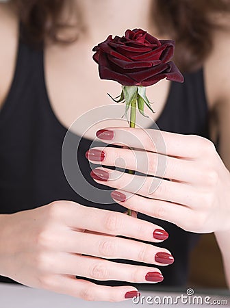 Woman hands holding red rose Stock Photo