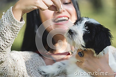 Woman hands holding threat cookies for puppy Stock Photo
