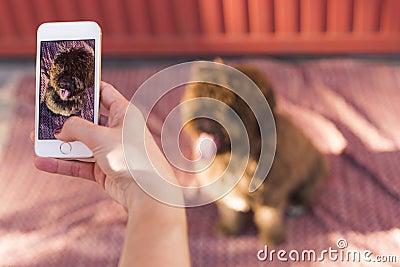 Woman hands with mobile smart phone taking a photo of Spanish wa Stock Photo
