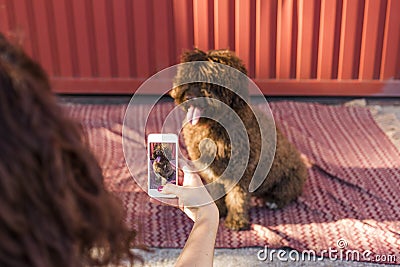 Woman hands with mobile smart phone taking a photo of Spanish wa Stock Photo