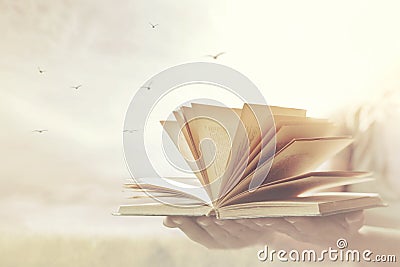 Woman hands offer a book open to freedom and imagination Stock Photo