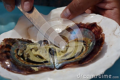 Woman hands open with knife oyster with white pink pearl Stock Photo