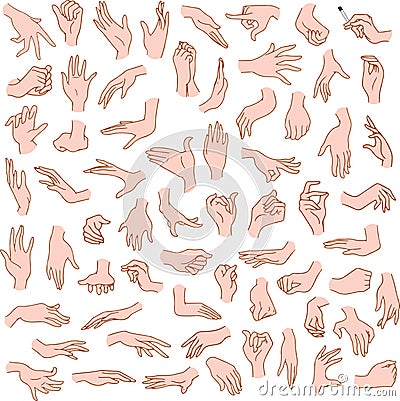 Woman Hands Pack Vector Illustration