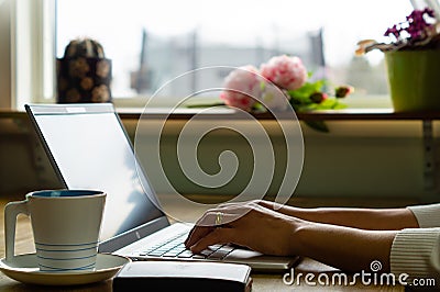 Woman Hands Working On Laptop att home. Stock Photo