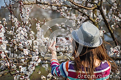 Woman in a hat makes a photos on smartphone flowering tree branc Stock Photo