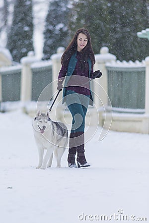 Woman and Her Lovely Husky Dog Taking a Stroll Together Stock Photo