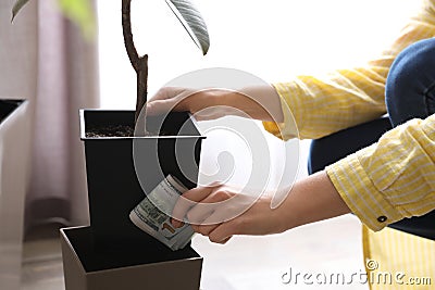 Woman hiding dollar banknotes in flower pot indoors, closeup Stock Photo