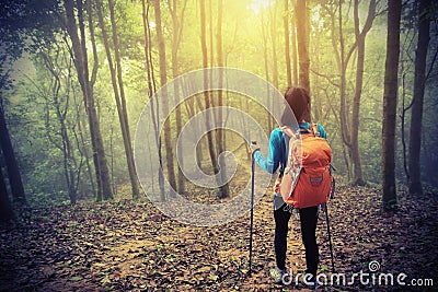 Woman hiker hiking in spring foggy forest trail Stock Photo