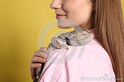 Woman holding bearded lizard on background, closeup. Exotic pet Stock Photo