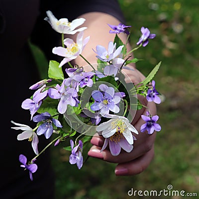 The woman is holding a bouquet of wildflowers. Stock Photo