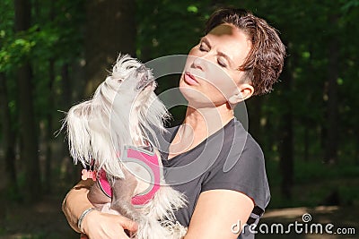 Woman is holding a Chinese Crested dog in her arms. Dog barks in the hands of the owner Stock Photo