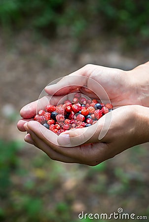 Woman holding forest berries in open palms. organic food concept Stock Photo