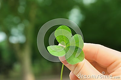 Woman holding four-leaf clover outdoors Stock Photo