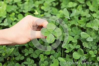 Woman holding four-leaf clover outdoors Stock Photo
