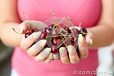 Woman holding fresh cherries Stock Photo