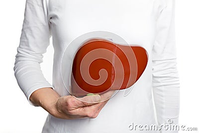 Woman holding human liver model at white body Stock Photo