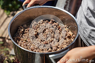 Woman holding a pot of selfmade dog or cat food, meat and innards or mince Stock Photo