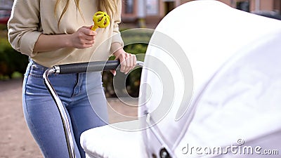 Woman holding rattle toy front of newborn in stroller, babyhood interaction Stock Photo