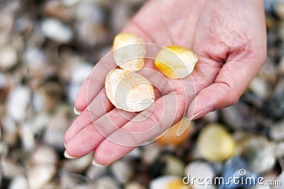 Woman holding seashells Stock Photo