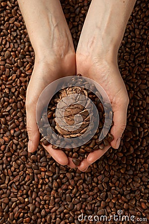 Woman holding shelled pine nuts, closeup, healthylife background concept Stock Photo