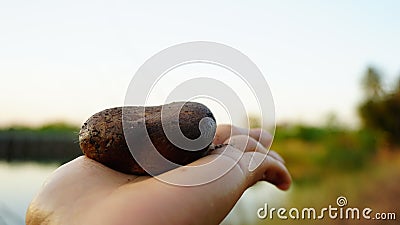 Woman holding stone in hand, integration of working life, burdens and women`s power. Stock Photo