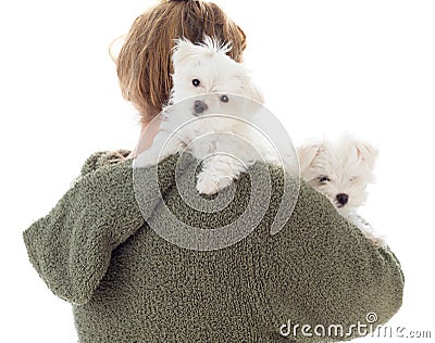 Woman Holding Two Young Maltese Puppies Isolated on White Stock Photo