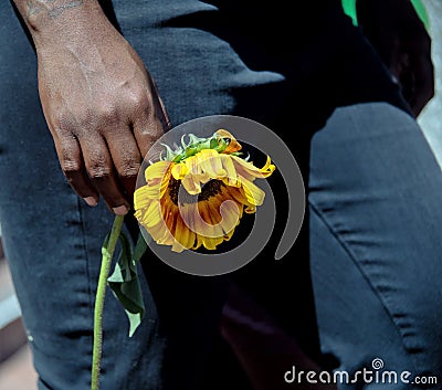 Woman holding a wilted yellow flower Stock Photo