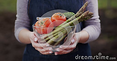 A woman holds a bowl with fresh vegetables - tomatoes, asparagus, cucumbers - ingredients for healthy food Stock Photo