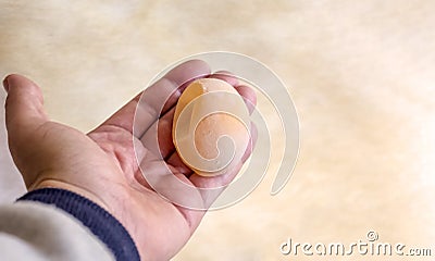 A woman holds in her hands an egg without shell, which gave sick chicken Stock Photo